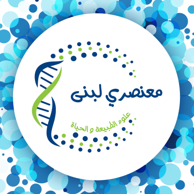 لبنى معنصري